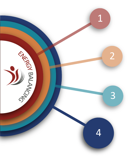 diagram showing the tiers of training available with Energy Balancing Group Leader highlighted