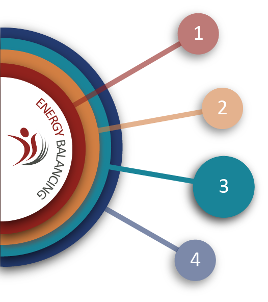 graphic showing the tiers of training available, highlighting professional coaching