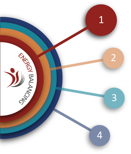 diagram showing the courses available, highlight self-coaching